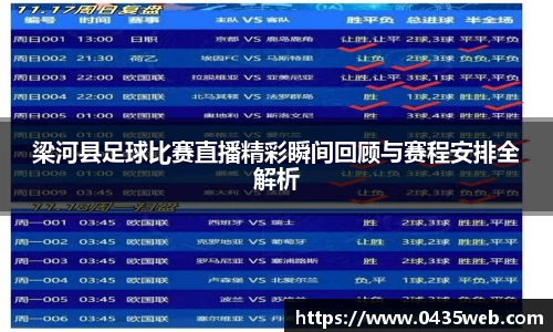 梁河县足球比赛直播精彩瞬间回顾与赛程安排全解析