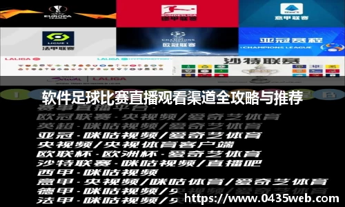 软件足球比赛直播观看渠道全攻略与推荐