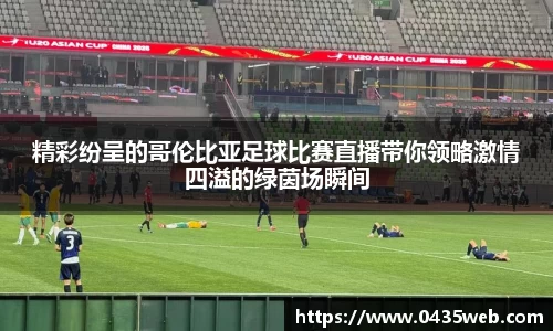im电竞官网